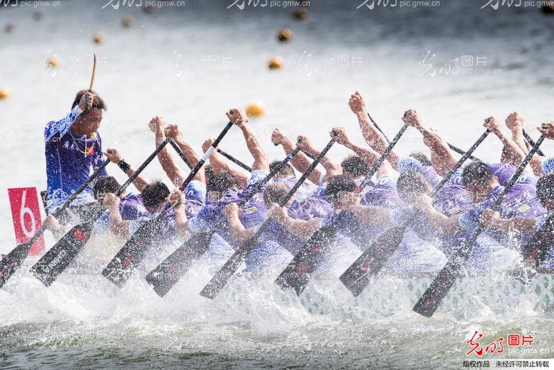 湖南龍船比賽視頻觀看與體驗指南，精彩瞬間一網打盡！