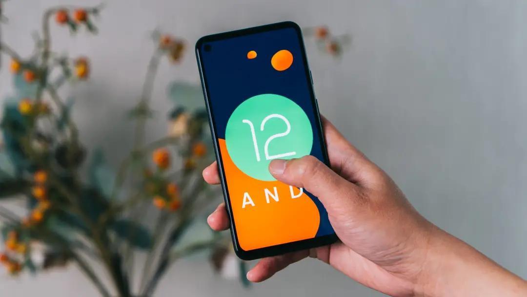 安卓最新系統(tǒng)版本，探索未來科技的無限潛力