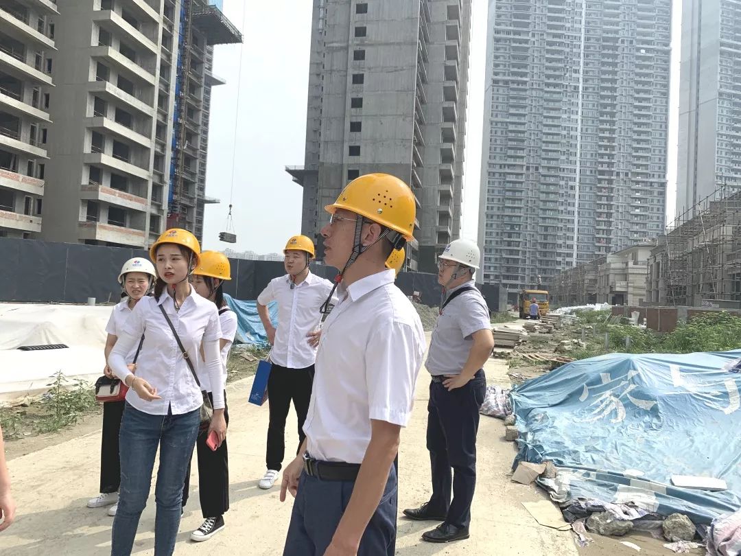 成都洺悅府最新動(dòng)態(tài)揭秘，科技府邸，未來生活搶先體驗(yàn)