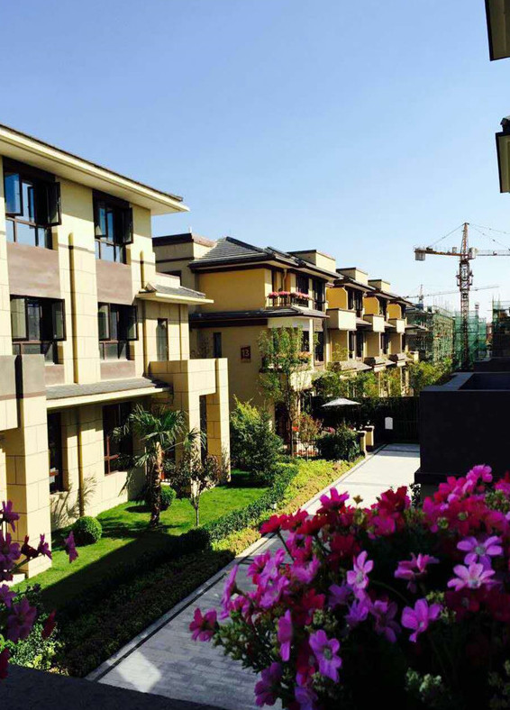 寶格麗小鎮(zhèn)最新資訊，學(xué)習(xí)變化，自信閃耀，共創(chuàng)美好未來成就