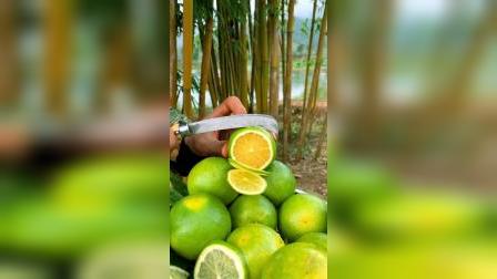 平湖最新資訊，城市脈動與成長見證