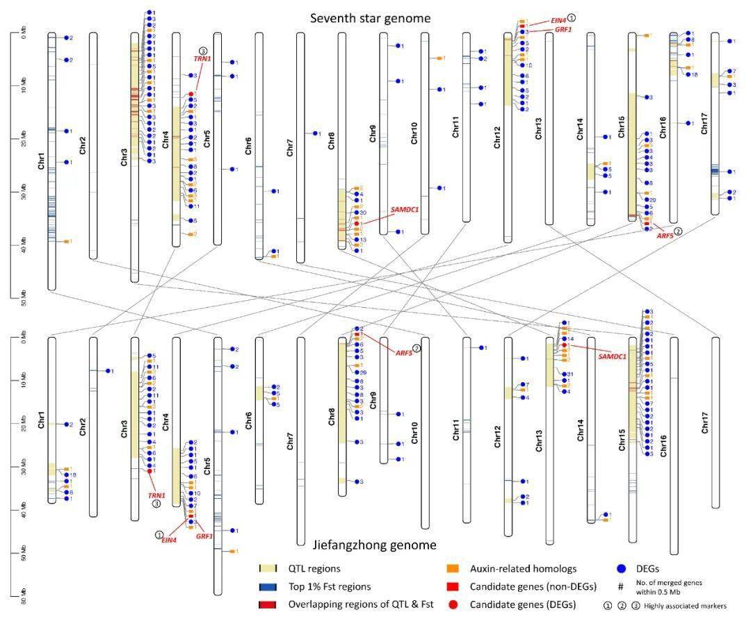 ＂新澳六開(kāi)彩開(kāi)獎(jiǎng)號(hào)碼記錄＂的：數(shù)據(jù)整合解析計(jì)劃_智慧版4.19