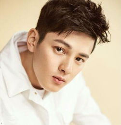 方齊苗最新個(gè)人資料揭秘，個(gè)人信息獲取與整理步驟指南