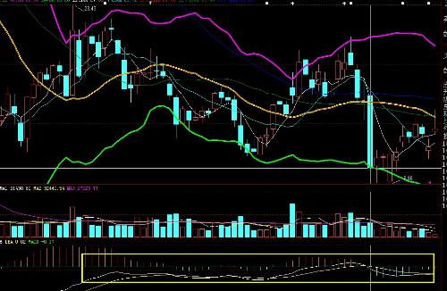 波動(dòng)行情與內(nèi)心寧靜的探索之旅，自然美景下的心靈對(duì)話