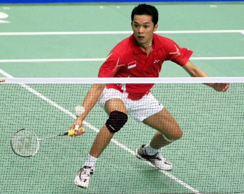 陶菲克羽毛球比賽視頻，觀看與學(xué)習(xí)指南