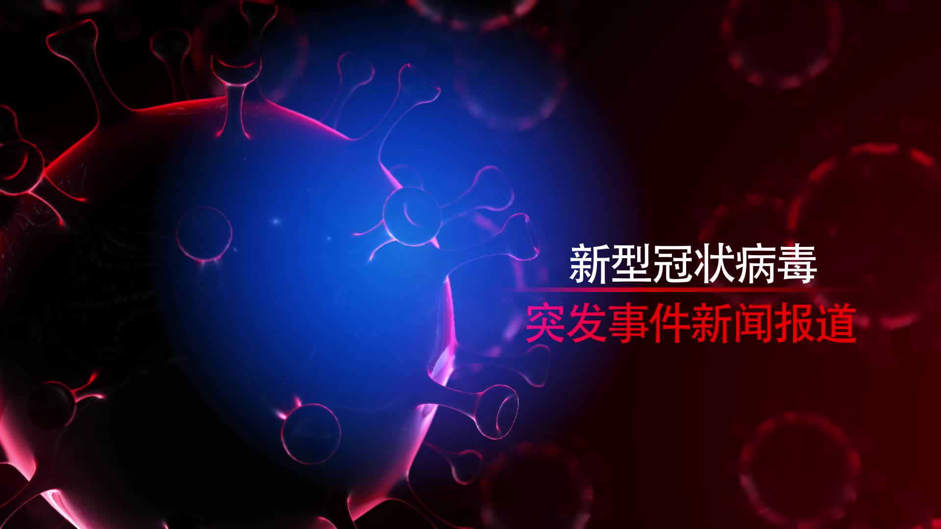 最新病毒動態(tài)與小巷深處的獨(dú)特風(fēng)味