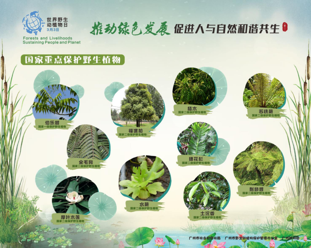 ＂0149開獎澳門網(wǎng)＂的：植物保護_見證版3.37