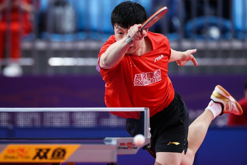 中國(guó)乒乓球明星的奮斗與榮耀，見證自信成就的力量之路