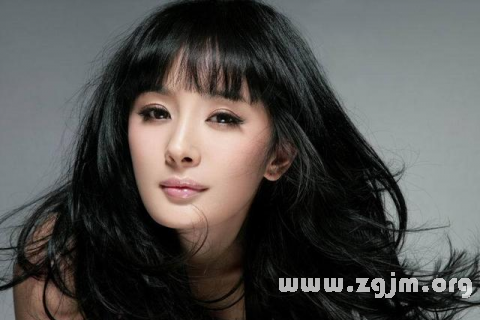 夢中之星奇遇，與明星的奇妙邂逅