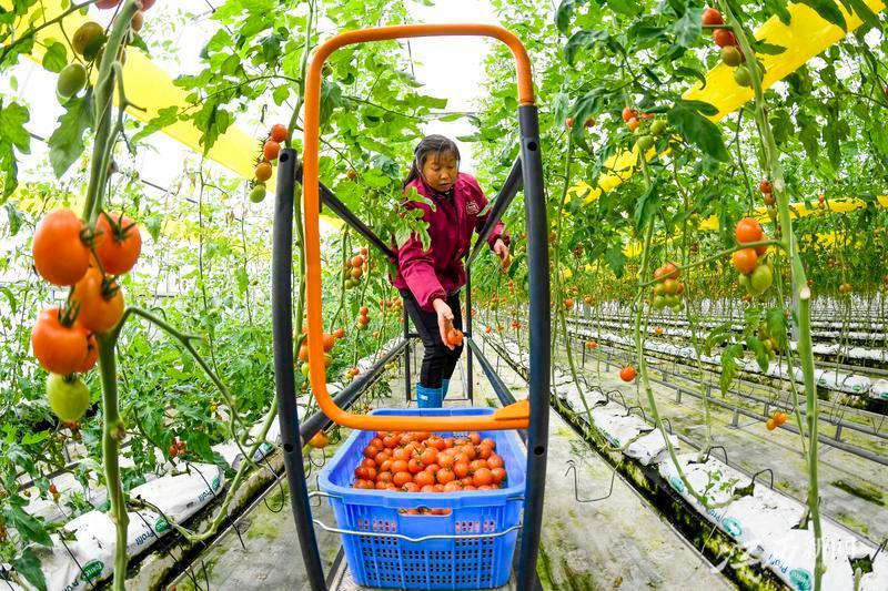 江西宜春小巷深處的獨(dú)特風(fēng)味小店驚艷亮相最新新聞