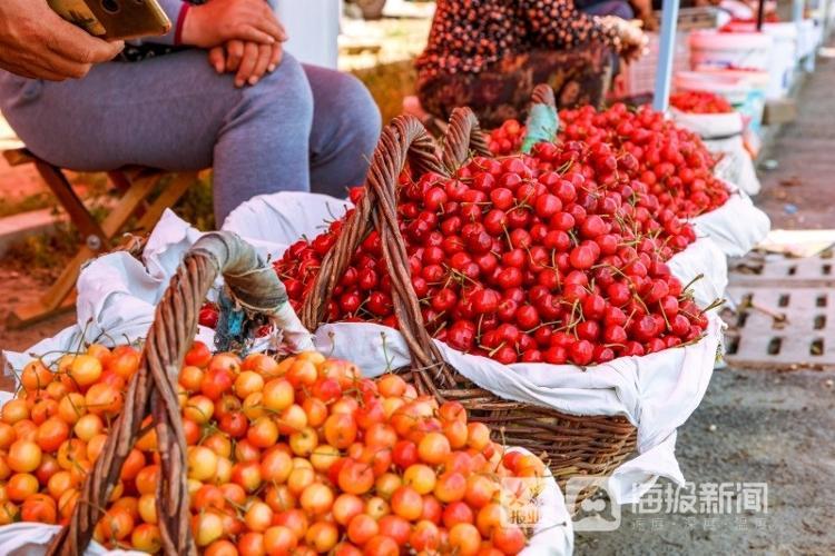 煙臺(tái)櫻桃上市,煙臺(tái)櫻桃上市，小巷深處的甜蜜誘惑