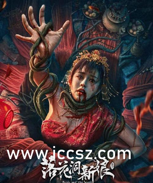 Seso最新資訊詳解，獲取與理解步驟指南