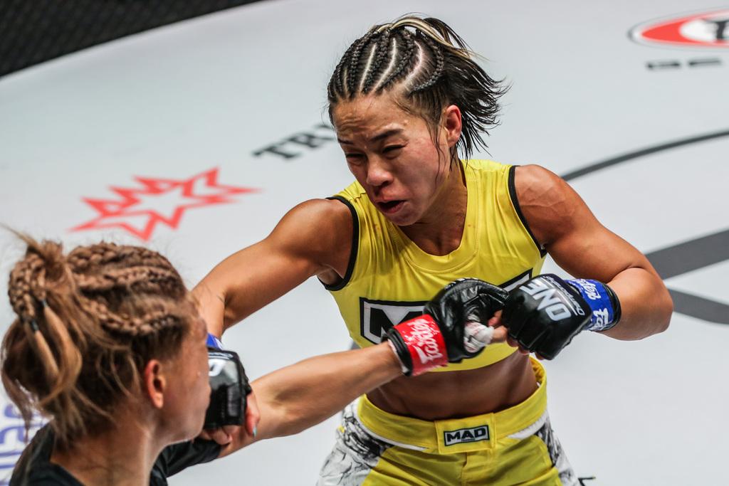 綜合格斗比賽，自然美景中的精神之旅對(duì)決