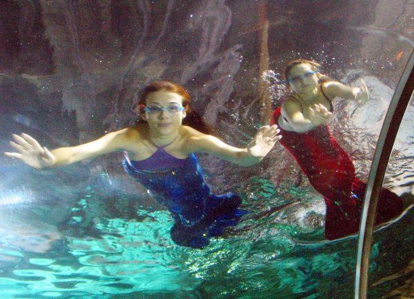 ＂2004新澳精準(zhǔn)資料免費(fèi)＂的：統(tǒng)計(jì)信息解析說(shuō)明_榮耀版8.68