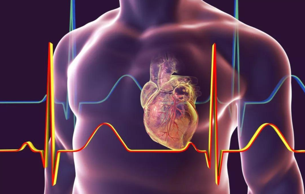 ＂新奧長期免費資料大全＂的：科學(xué)分析嚴(yán)謹(jǐn)解釋_銳意版3.78