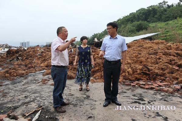 珞璜工業(yè)園規(guī)劃更新啟動(dòng)，重塑產(chǎn)業(yè)生態(tài)藍(lán)圖