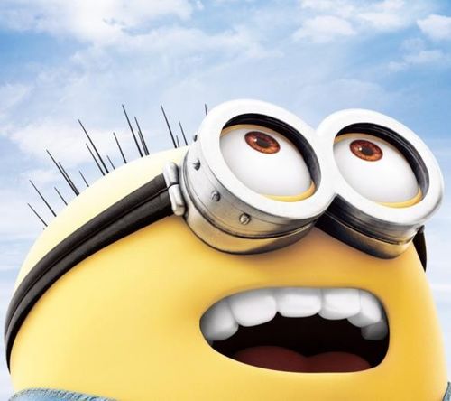 湖南下司犬最新上市，市場(chǎng)現(xiàn)象及各方觀點(diǎn)深度解析