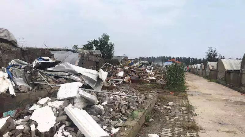 楊鎮(zhèn)拆遷最新動(dòng)態(tài)，科技引領(lǐng)重塑，開啟拆遷新篇章體驗(yàn)