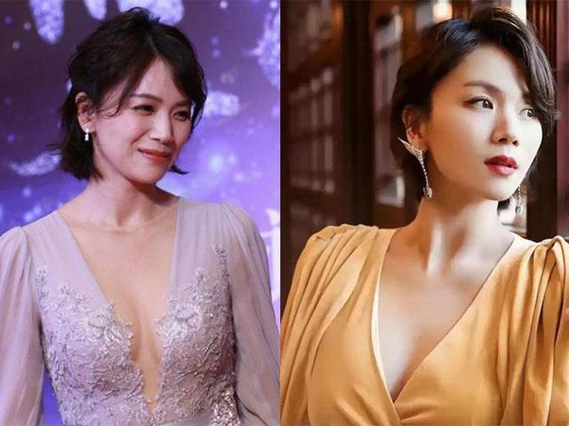 電視劇野鴨子深度解讀，獨特魅力與爭議焦點探討