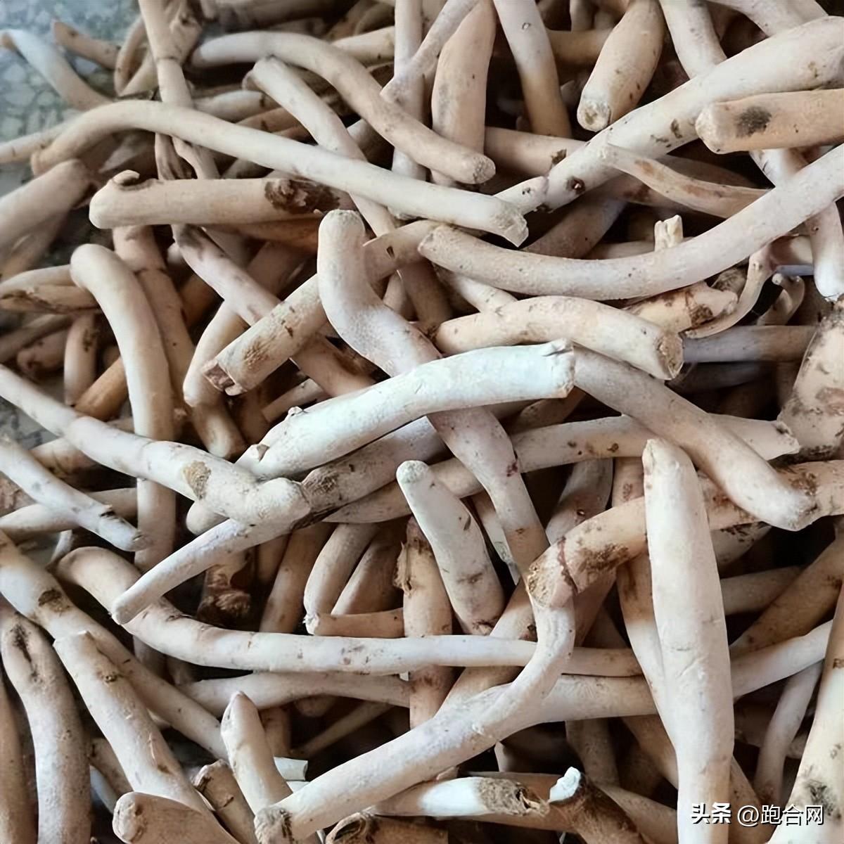 毫州藥材最新價格表，學習變化，成就自信之源