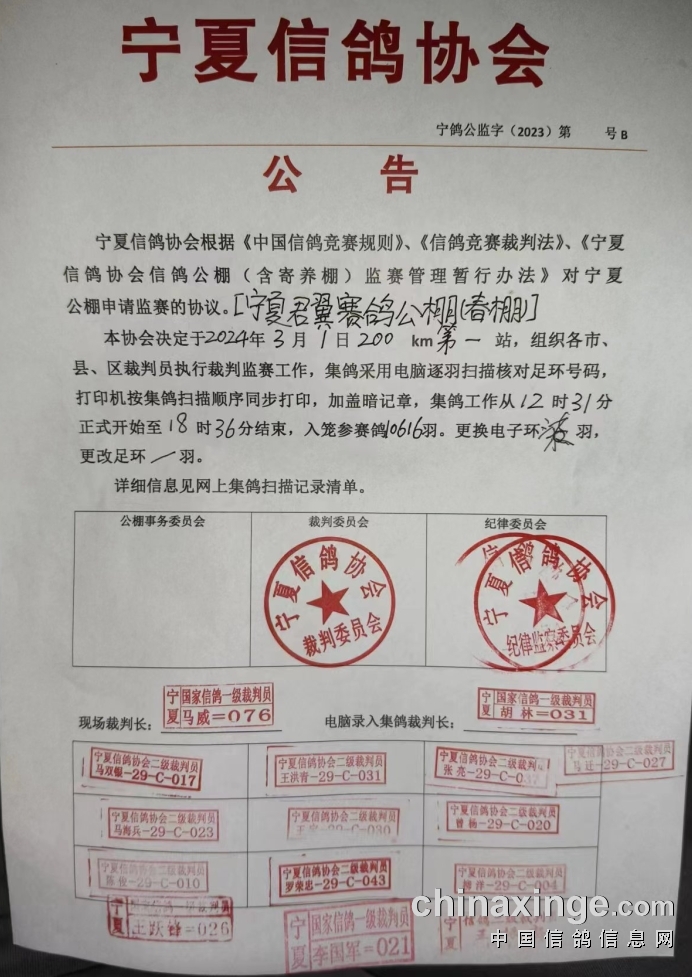 靈武信鴿協(xié)會最新公告發(fā)布，關(guān)注協(xié)會最新動態(tài)