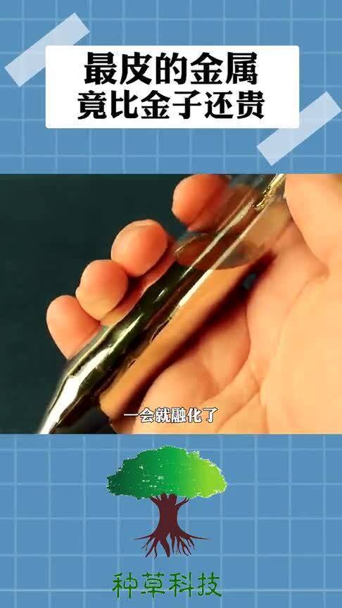 貴重金屬行情深度解析，市場趨勢與影響因素探討