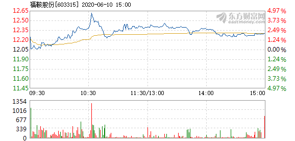 福鞍股票,福鞍股票——投資者的明智之選，開啟財富新篇章！
