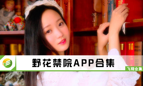 野花最新網(wǎng)址，網(wǎng)絡時代的獨特風景探索