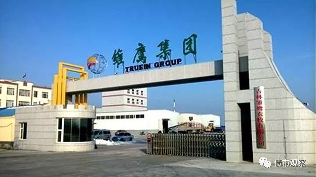 雛鷹農(nóng)牧最新動態(tài)，變革中的力量與自信成就感的崛起