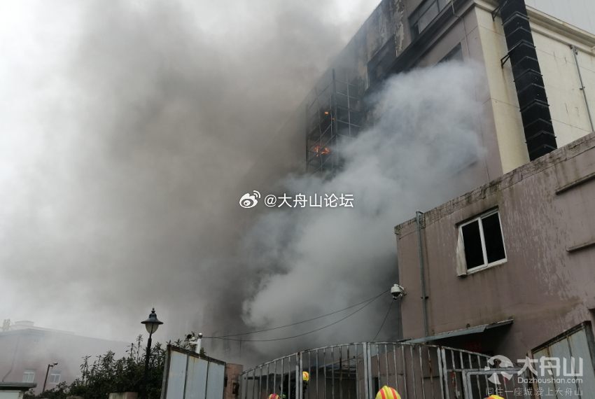 舟山火災最新動態(tài)，小巷深處的獨特煙火危機