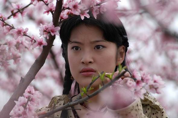 桃花源記電視劇觀看與理解指南，劇情解析與深度體驗步驟分享