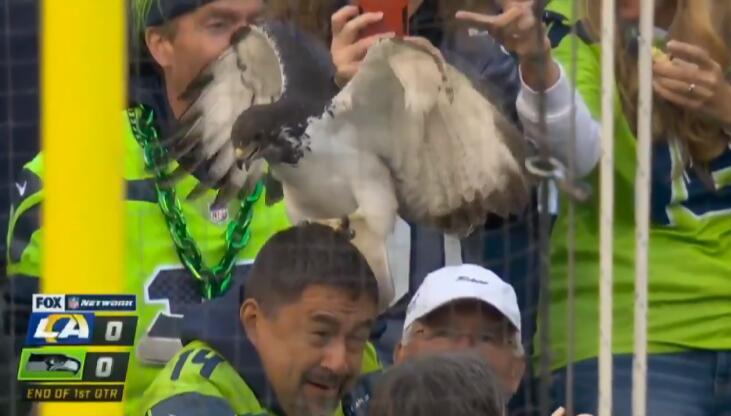 比賽吉祥物，自信與成就感的象征標(biāo)志