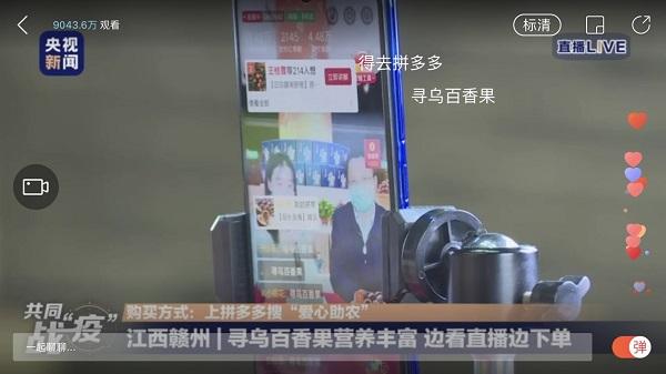 尋烏最新資訊深度解析，觀點闡述與最新動態(tài)報告