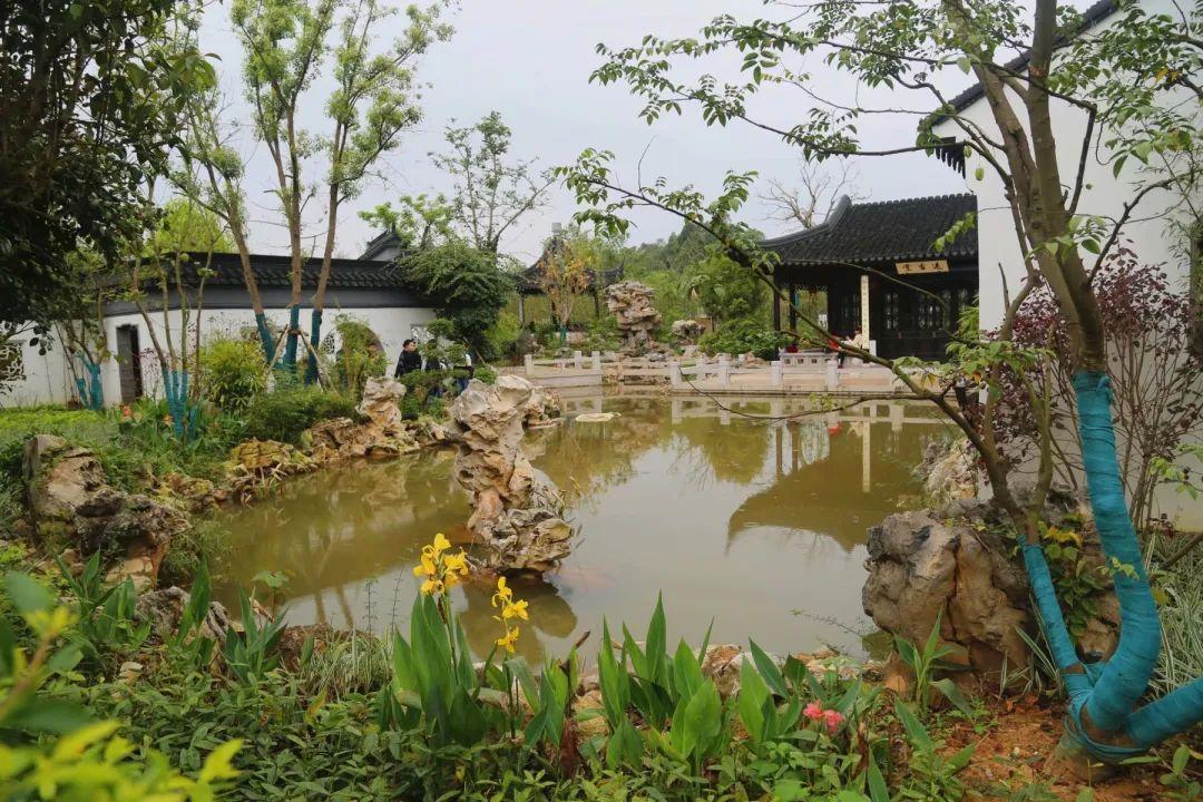 南寧園搏園最新動(dòng)態(tài)揭秘，游園攻略與技能學(xué)習(xí)指南