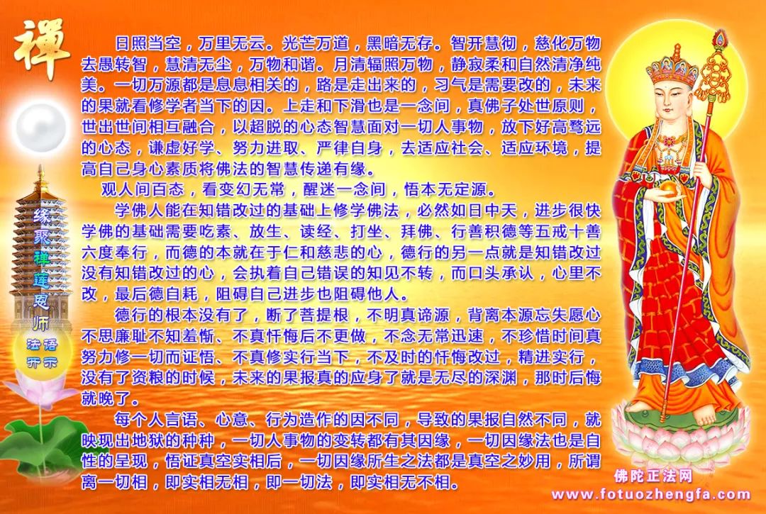 最新佛法開示揭秘，小巷深處的禪意寶藏探尋