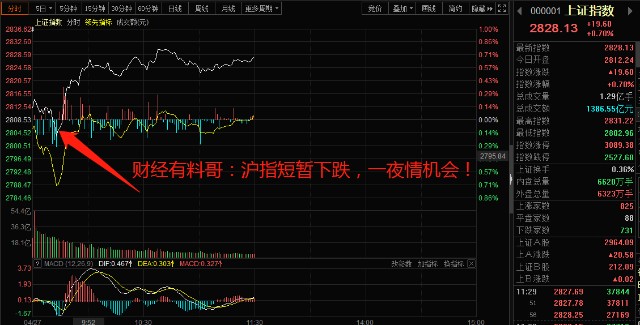 財(cái)?shù)佬星榉治雠c操作指南，初學(xué)者與進(jìn)階用戶的必備指南