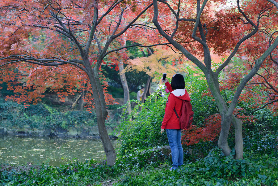 秋霞精選，電影藝術(shù)的獨(dú)特魅力及其深遠(yuǎn)影響