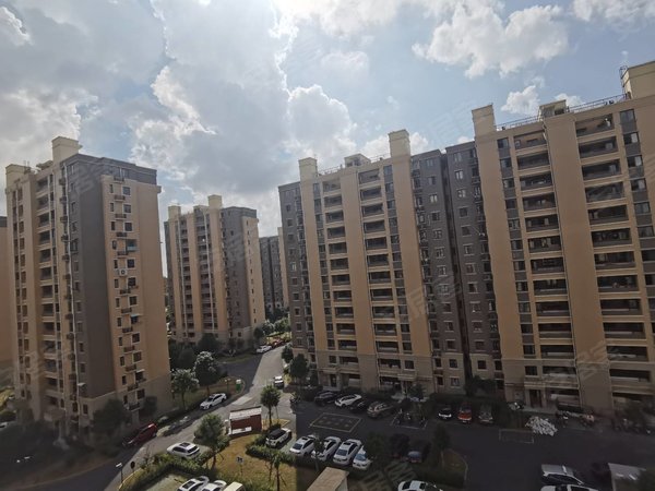 佘山松和苑最新動態(tài)，全面了解與掌握最新資訊