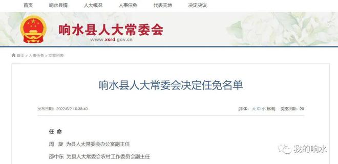 衡水市人事任免最新公告通知