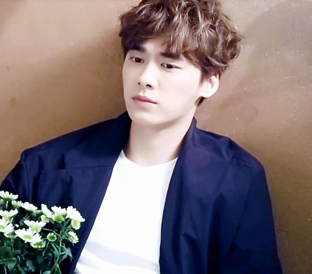 有耳鳴的明星,有耳鳴的明星，探索自然美景之旅，尋找內(nèi)心的寧?kù)o與平和