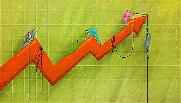 證金公司股票動態(tài),證金公司股票動態(tài)，一場自然美景的探索之旅