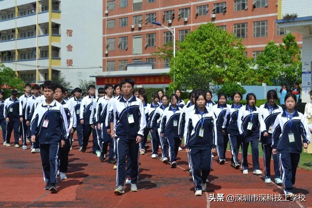 深寶安股票行情解析，前景分析與投資洞察