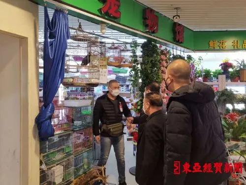 探索自然美景之旅，揭秘2017鷯哥銷售最新資訊，尋找內(nèi)心的平靜與喜悅