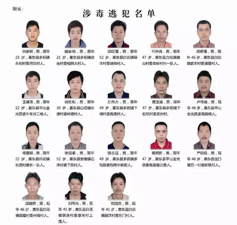 惠州最新通緝公告,惠州最新通緝公告，追逐變化，自信成就未來