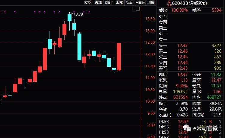 股票逆襲之路，開啟財富人生的新篇章從底部開始！