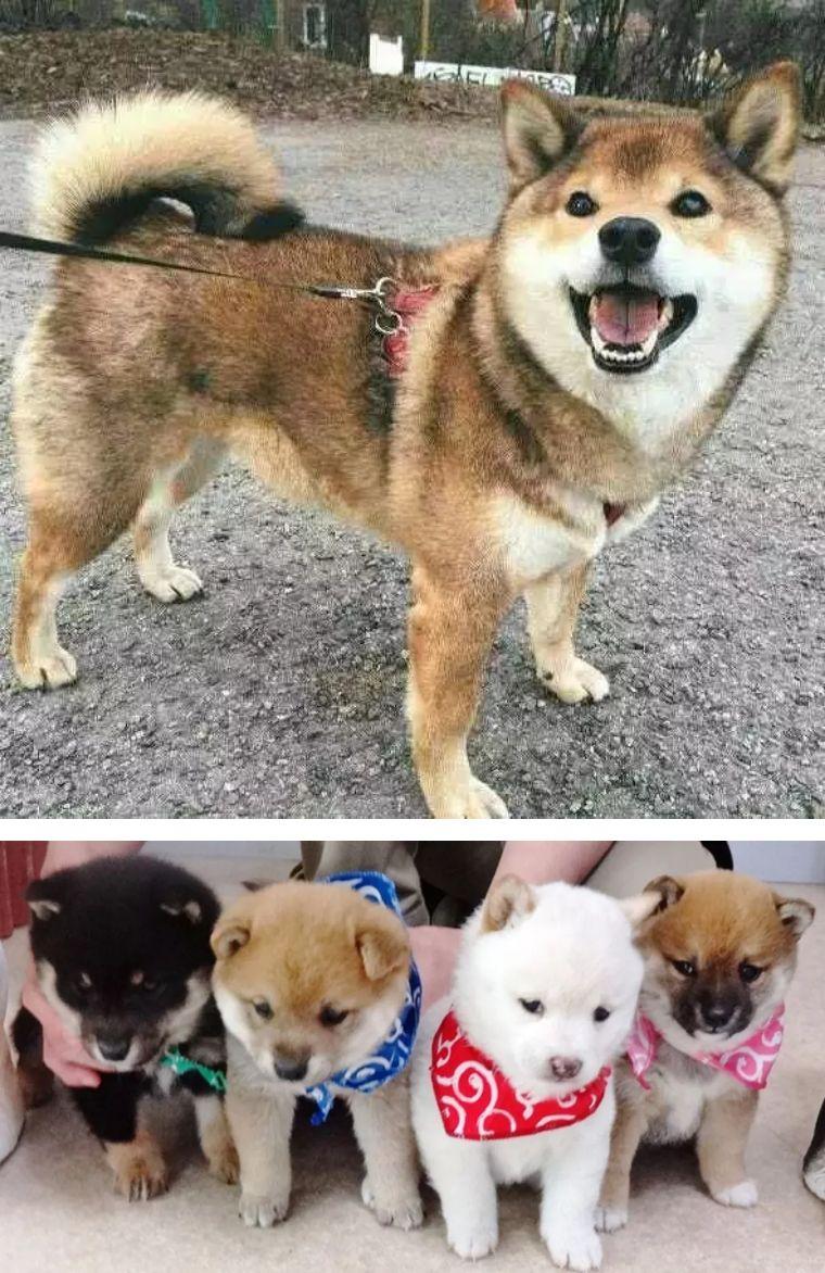 東京時(shí)尚風(fēng)向標(biāo)，探索日本最新潮流資訊