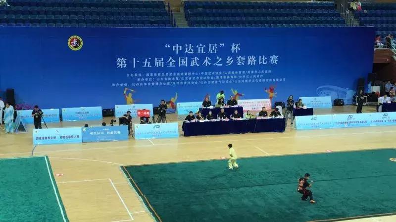 山東武術(shù)大賽，傳承與榮耀的盛宴，展現(xiàn)武術(shù)風(fēng)采的盛事！