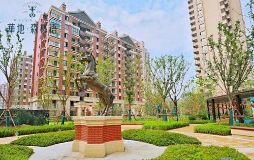 華地森林語最新房價概覽及相關(guān)觀點(diǎn)論述