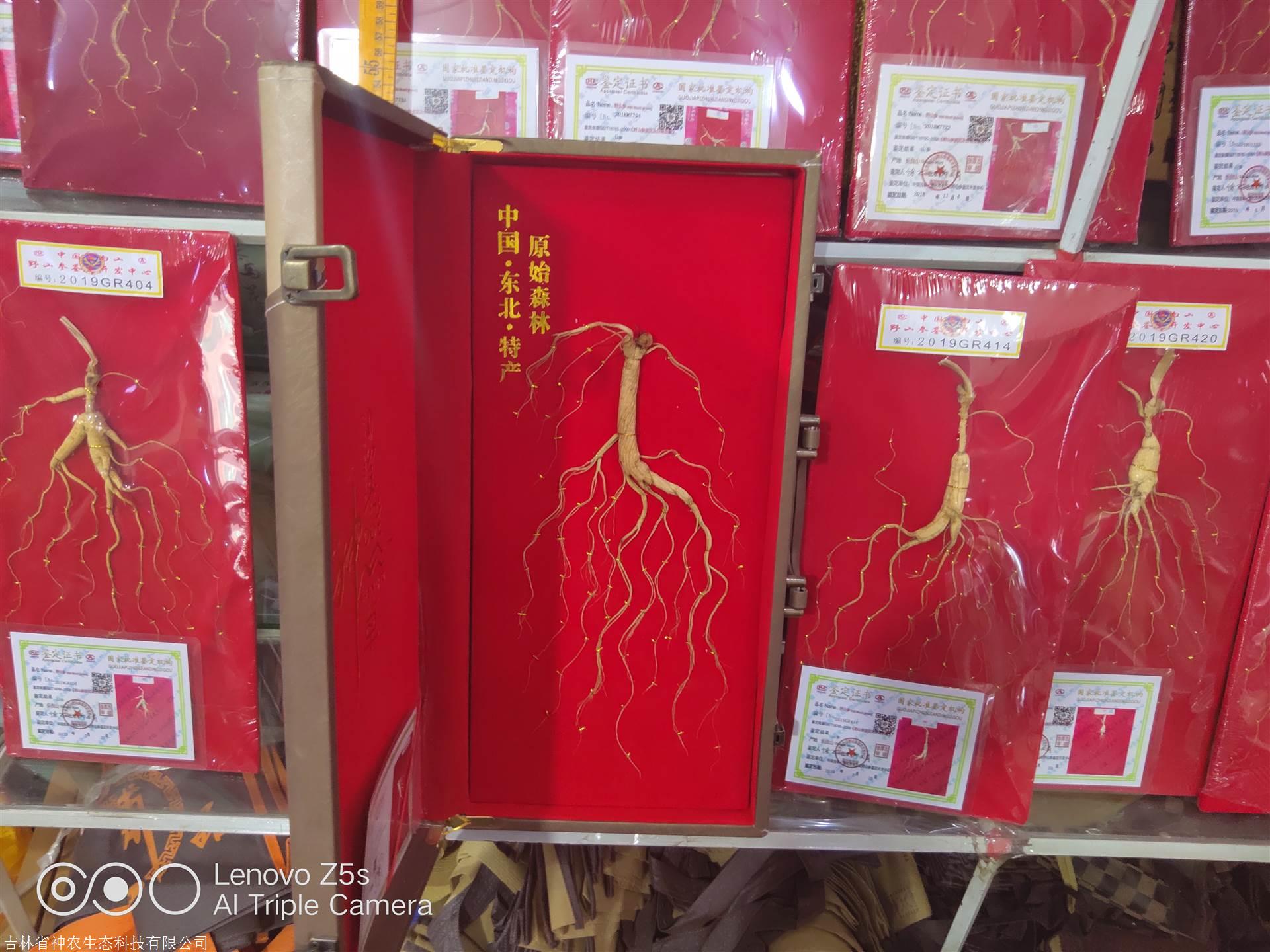 人參價格解析，市場走勢、品質(zhì)差異及影響因素深度探討