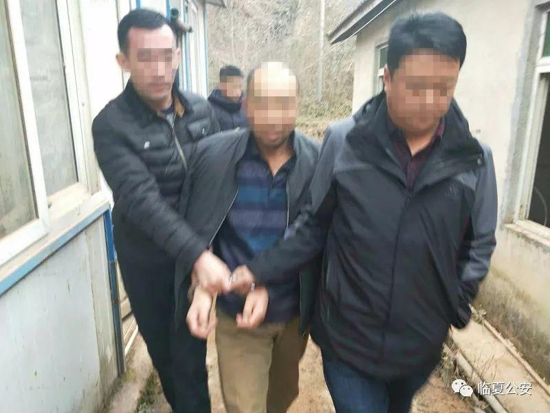 綿陽最新命案報道,綿陽最新命案報道